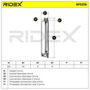 FIL-FUE-RID-BMW-NEW-0011 #4