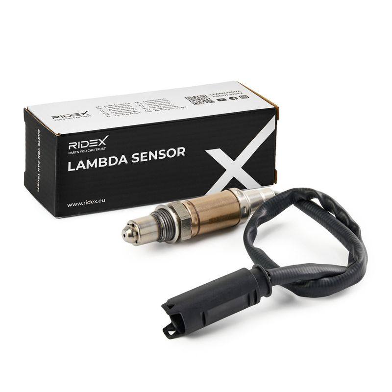 ELE-SEN-RID-BMW-NEW-0092 #1