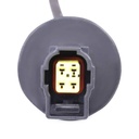 ELE-SEN-RID-CIT-NEW-0029 #2