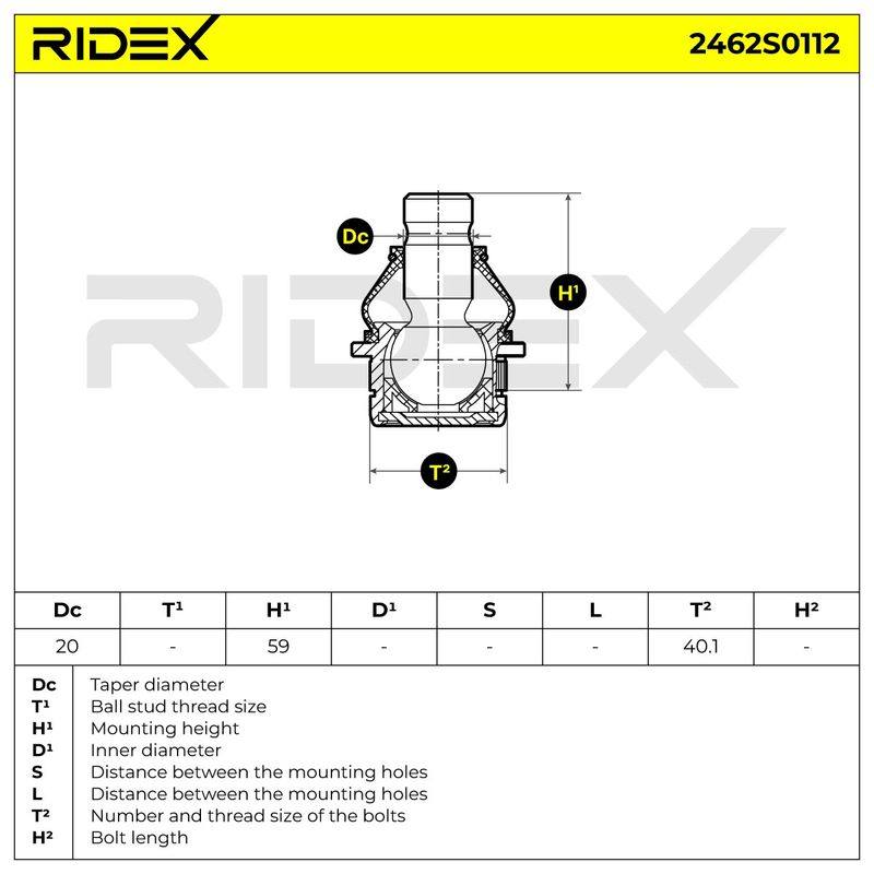 SUS-BJT-RID-CIT-NEW-0019 #1