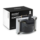 IGN-ICO-RID-REN-NEW-0001 #3