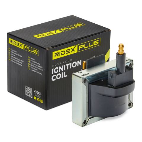 IGN-ICO-RID-REN-NEW-0002 #3