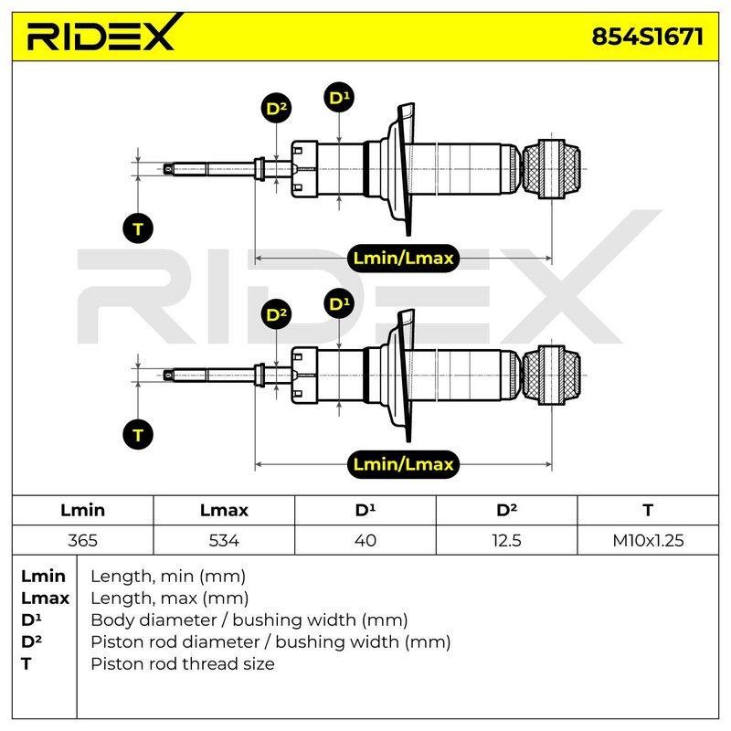 SUS-SHA-RID-VO1-NEW-0031 #1