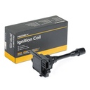 IGN-ICO-RID-CHR-NEW-0012 #1