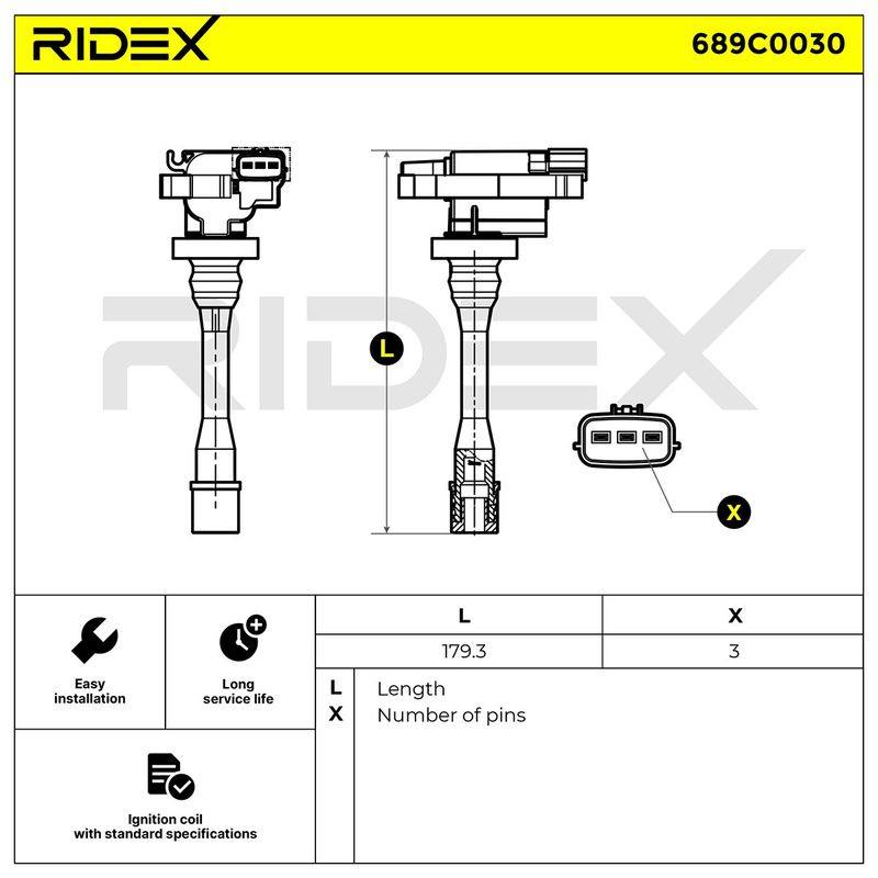 IGN-ICO-RID-CHR-NEW-0012 #3