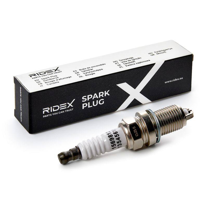 IGN-SPK-RID-BMW-NEW-0007 #1