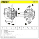 ELE-ALT-RID-SMA-NEW-0004 #2