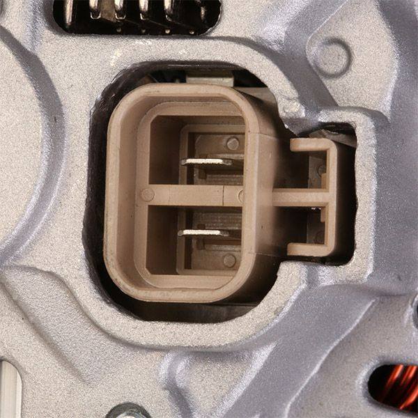 ELE-ALT-RID-PRO-NEW-0002 #2