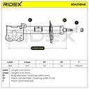 SUS-SHA-RID-SMA-NEW-0013 #4