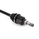 TRN-MSC-RID-SMA-NEW-0010 #2