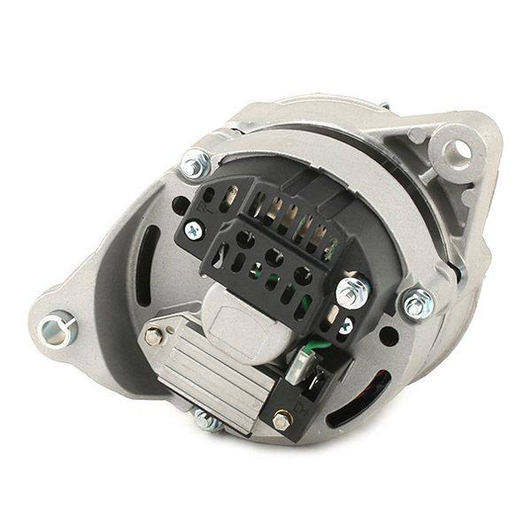 ELE-ALT-RID-LAN-NEW-0005 #2