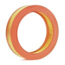 FIL-AIR-RID-MOS-NEW-0001 #2