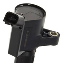 IGN-ICO-RID-FO1-NEW-0002 #2