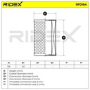 FIL-FUE-RID-PEU-NEW-0029 #2