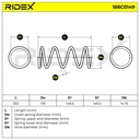 SUS-MSC-RID-CIT-NEW-0025 #2