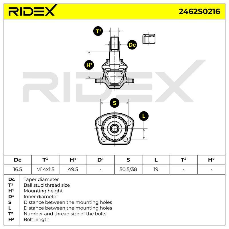 SUS-BJT-RID-DA2-NEW-0002 #1