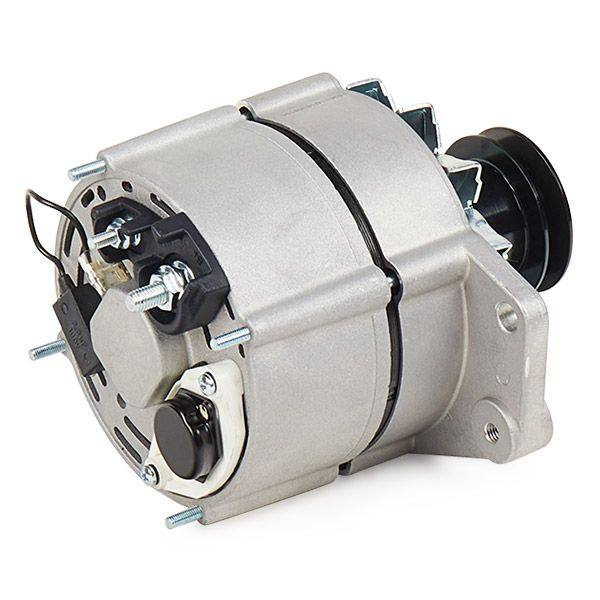 ELE-ALT-RID-VW-NEW-0056 #1