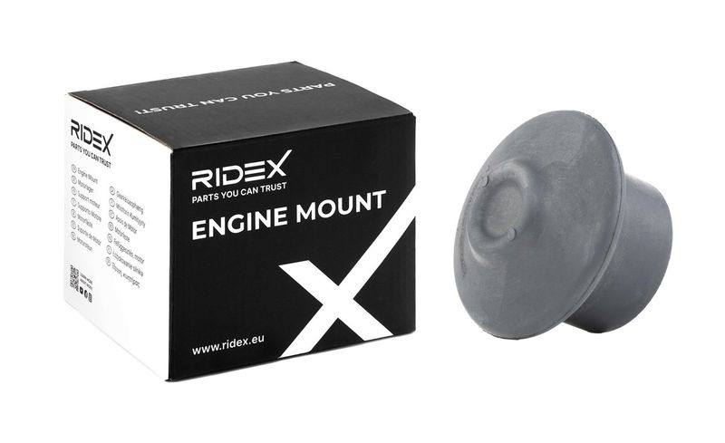 ENG-MSC-RID-SKO-NEW-0033 #2