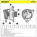 ELE-ALT-RID-VW-NEW-0038 #3