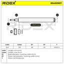 SUS-SHA-RID-VW-NEW-0137 #2