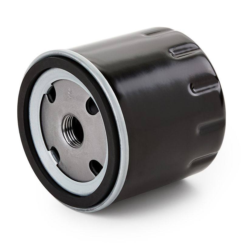 FIL-OIL-RID-CAG-NEW-0001 #4