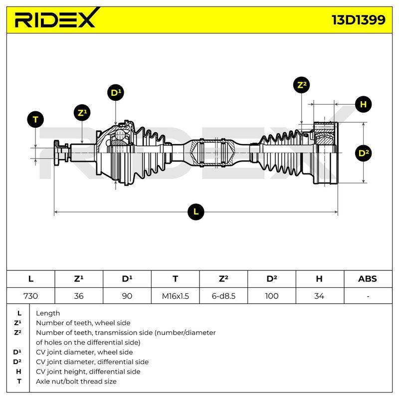TRN-MSC-RID-SEA-NEW-0209 #3