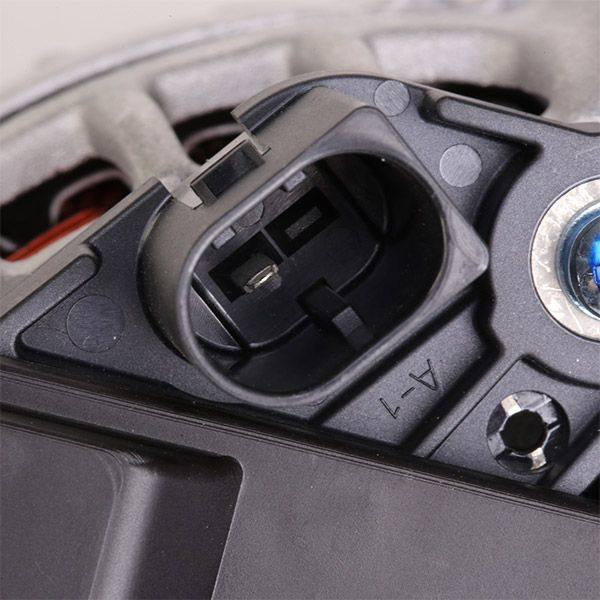 ELE-ALT-RID-VW-NEW-0035 #3