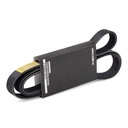 COO-WPU-RID-VW-NEW-0013 #2