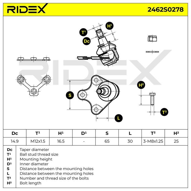 SUS-BJT-RID-SEA-NEW-0003 #1