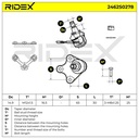 SUS-BJT-RID-SEA-NEW-0003 #1
