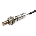 ELE-SEN-RID-VW-NEW-0064 #1