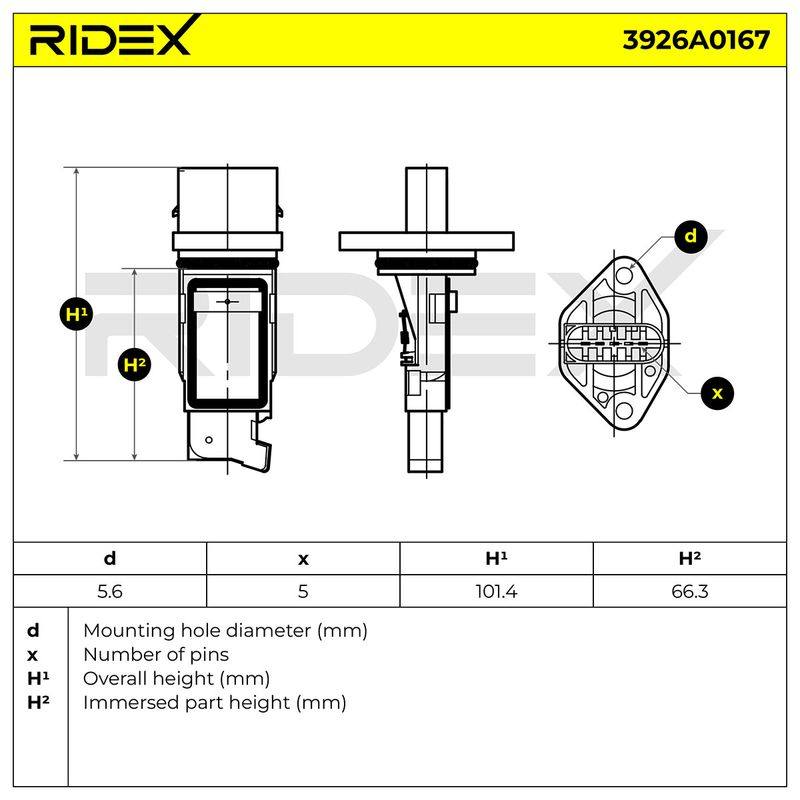 ELE-SEN-RID-BMW-NEW-0270 #1