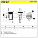 ELE-SEN-RID-BMW-NEW-0270 #1