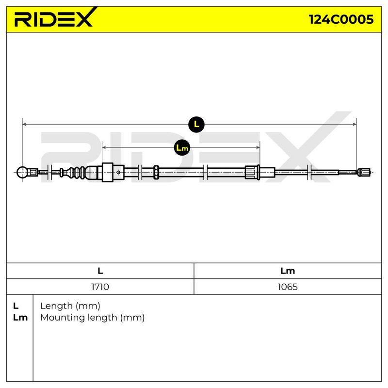 BRK-MSC-RID-VW-NEW-0008 #4