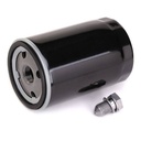 FIL-MSC-RID-VW-NEW-0447 #1