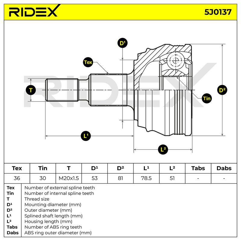 TRN-MSC-RID-VW-NEW-0058 #2