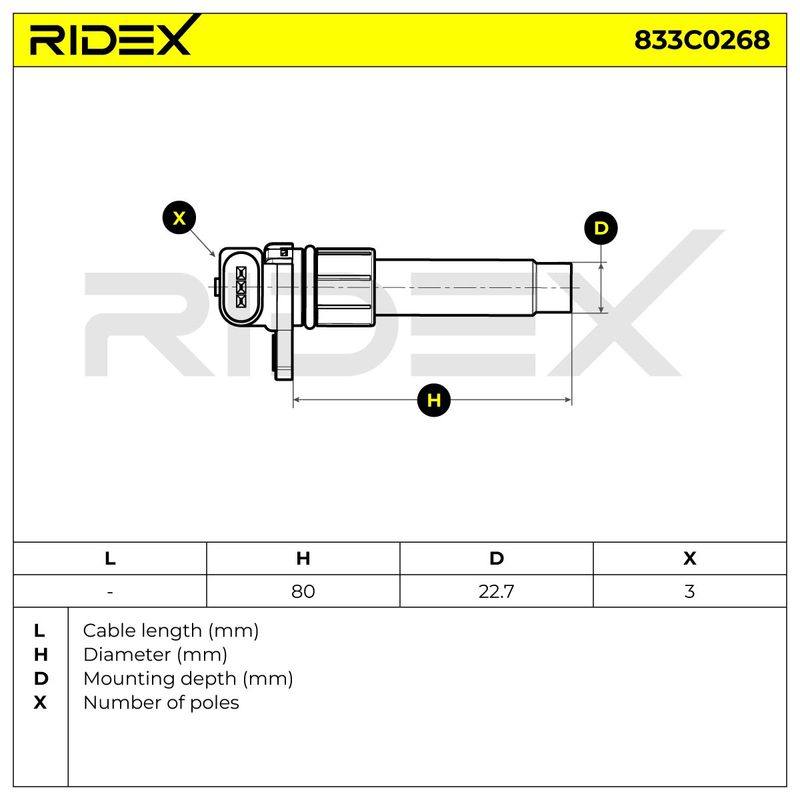 ELE-SEN-RID-VW-NEW-0073 #3