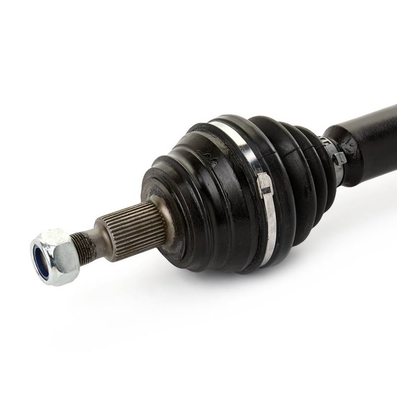 TRN-MSC-RID-VW-NEW-0068 #3