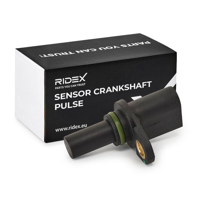 ELE-SEN-RID-VW-NEW-0084 #4