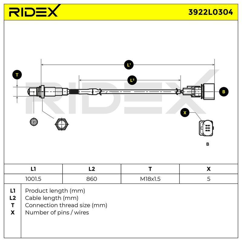 ELE-SEN-RID-BMW-NEW-0081 #3