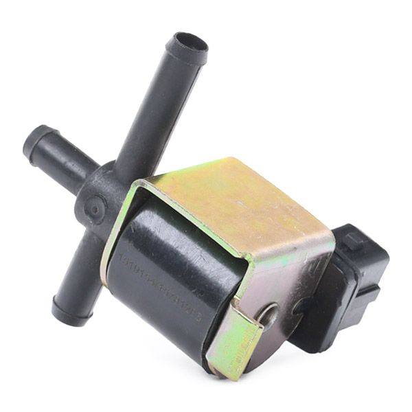 ENG-TUR-RID-VW-NEW-0007 #2