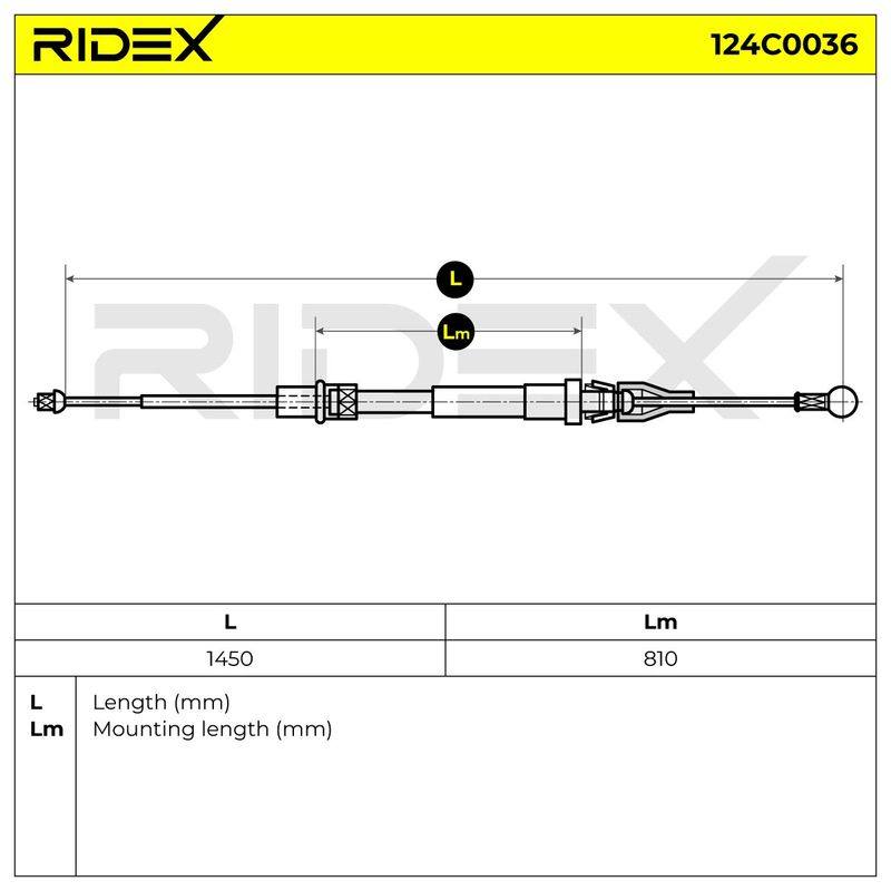 BRK-MSC-RID-SEA-NEW-0020 #4