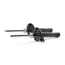 SUS-SHA-RID-VW-NEW-0019 #1