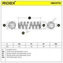 SUS-MSC-RID-SEA-NEW-0195 #1