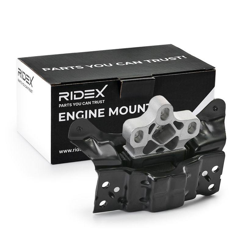 ENG-MSC-RID-CUP-NEW-0004 #1