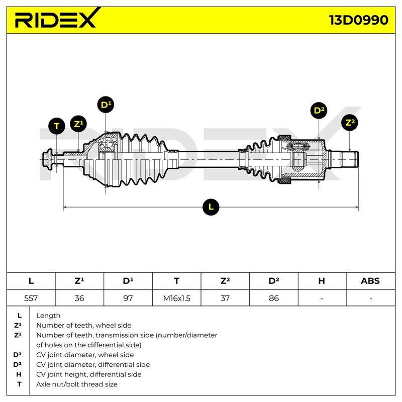 TRN-MSC-RID-CUP-NEW-0020 #2