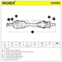 TRN-MSC-RID-CUP-NEW-0020 #2