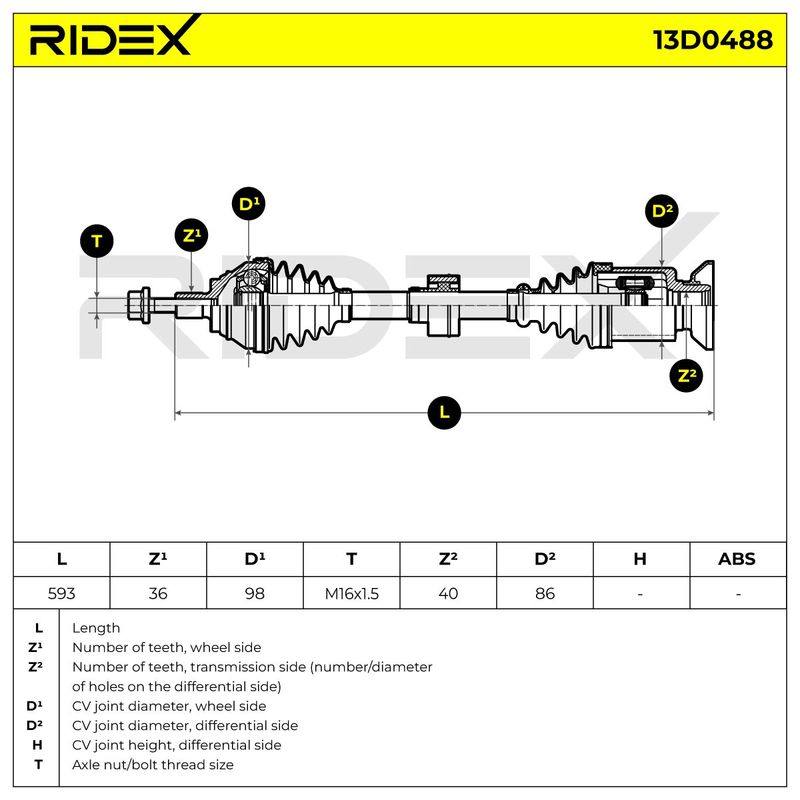 TRN-MSC-RID-VW-NEW-0244 #3