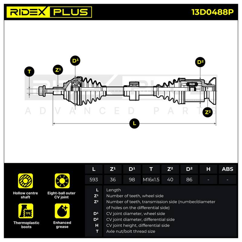 TRN-MSC-RID-VW-NEW-0246 #1