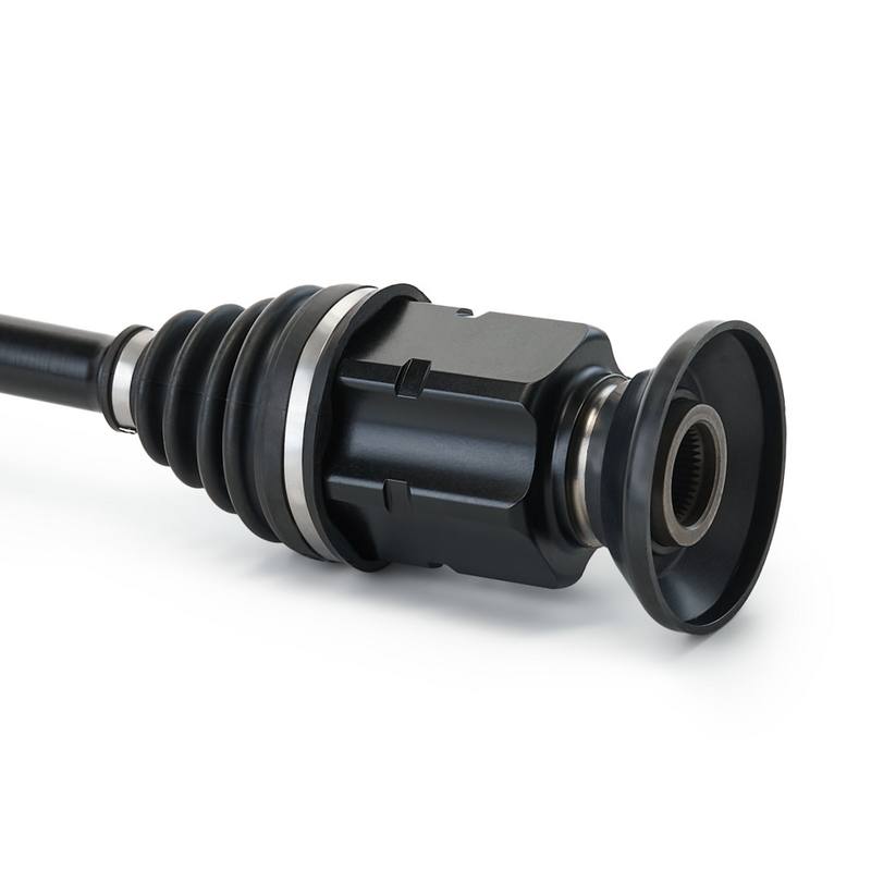 TRN-MSC-RID-VW-NEW-0246 #3